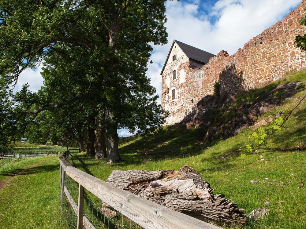Kastelholms slott + fängelsemuseet Vita Björn - Entrébiljett