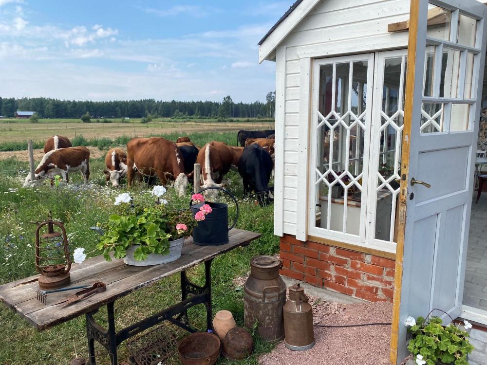 Mickels gård - Farm living glamping